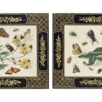 English School, Early 20th Century Trompe l'oeil of a primula, butterfly peacock and other insects; and Trompe l'oeil of a pansy, grasshopper and other insects