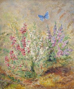 Albert Durer Lucas (British, 1828-1918) 'Fire-leaved heath and heather, purple and white, with Adonis blue butterfly' signed and dated 'A.D.Lucas, Sept 1911' (lower right), oil on panel